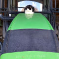 Farm Tales